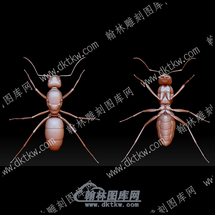 虫子33(BLG-563).png