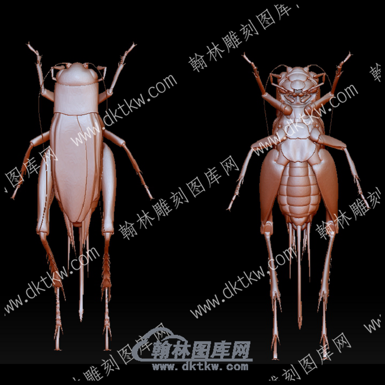 虫子37(BLG-567).png