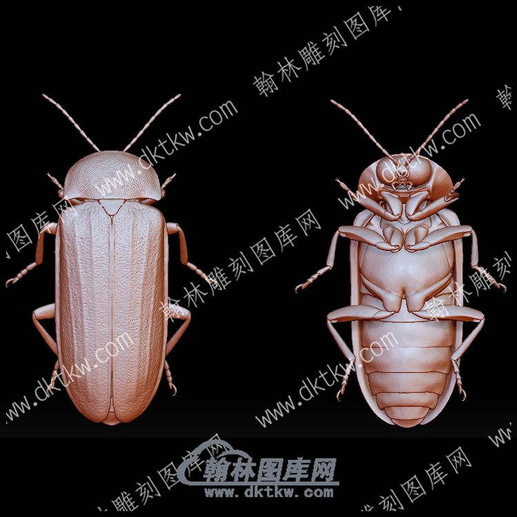 虫子40(BLG-570).png