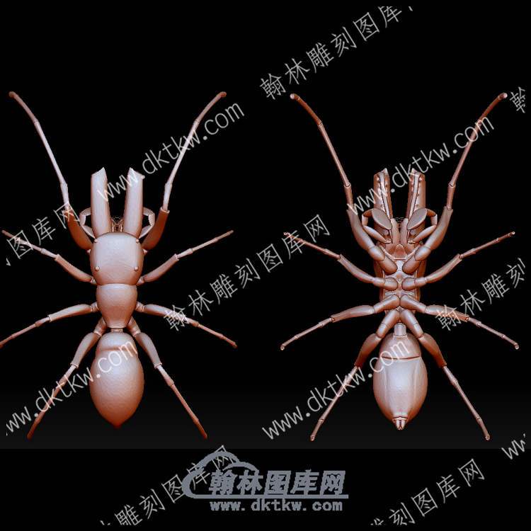 虫子47(BLG-577).png