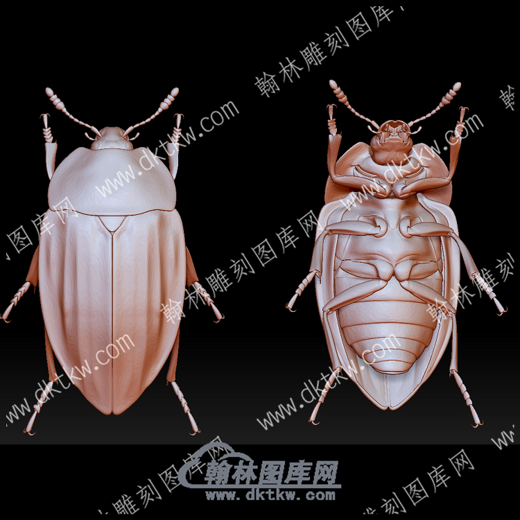 虫子49(BLG-579).png