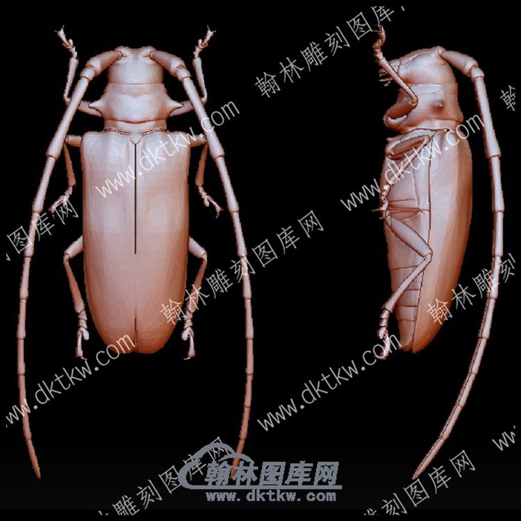 蟑螂(BLG-594).png