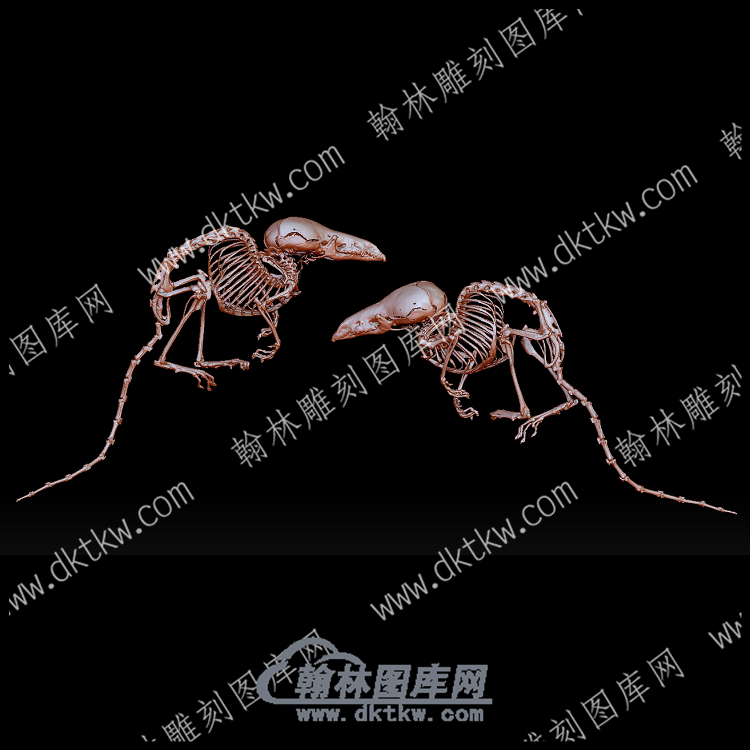 欧亚侏儒鼩鼱头骨(YDW-140).png