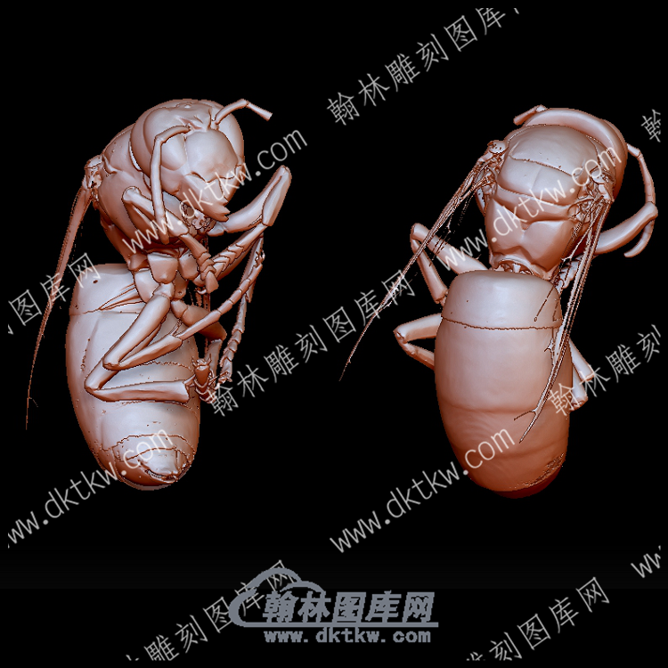 欧洲大黄蜂(YDW-143).png