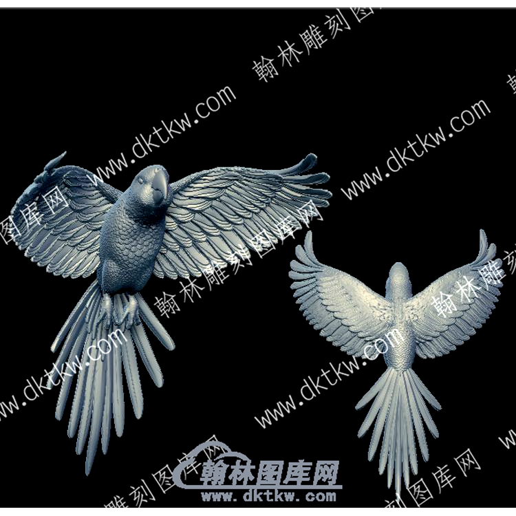 展翅鹦鹉立体圆雕图（YDDW-260）.jpg