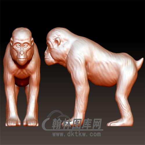 猴子立体圆雕图（YH-031)