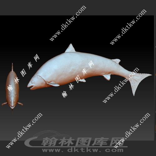 大马哈鱼鱼 三文鱼立体圆雕图（SKT-926）