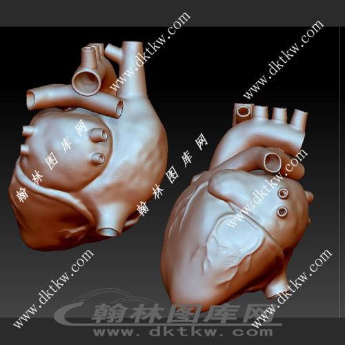 人类心脏模型立体圆雕图（SKT-418）