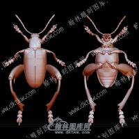 虫子12(BLG-544)