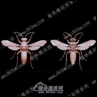 虫子20(BLG-551)
