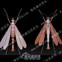虫子22(BLG-553)
