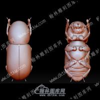 虫子35(BLG-565)