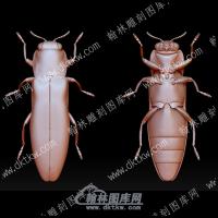 虫子46(BLG-576)