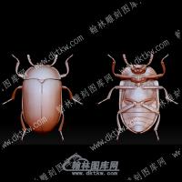 虫子51(BLG-581)