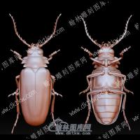 虫子56(BLG-586)