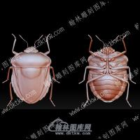 虫子58(BLG-588)