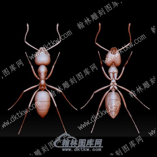 蚂蚁26(BLG-592)
