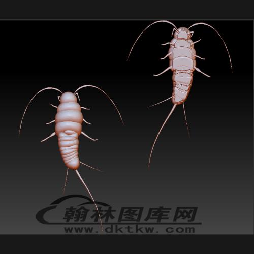 节肢水生昆虫立体圆雕图（BLG-496）