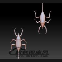 水生昆虫立体圆雕图（BLG-497）
